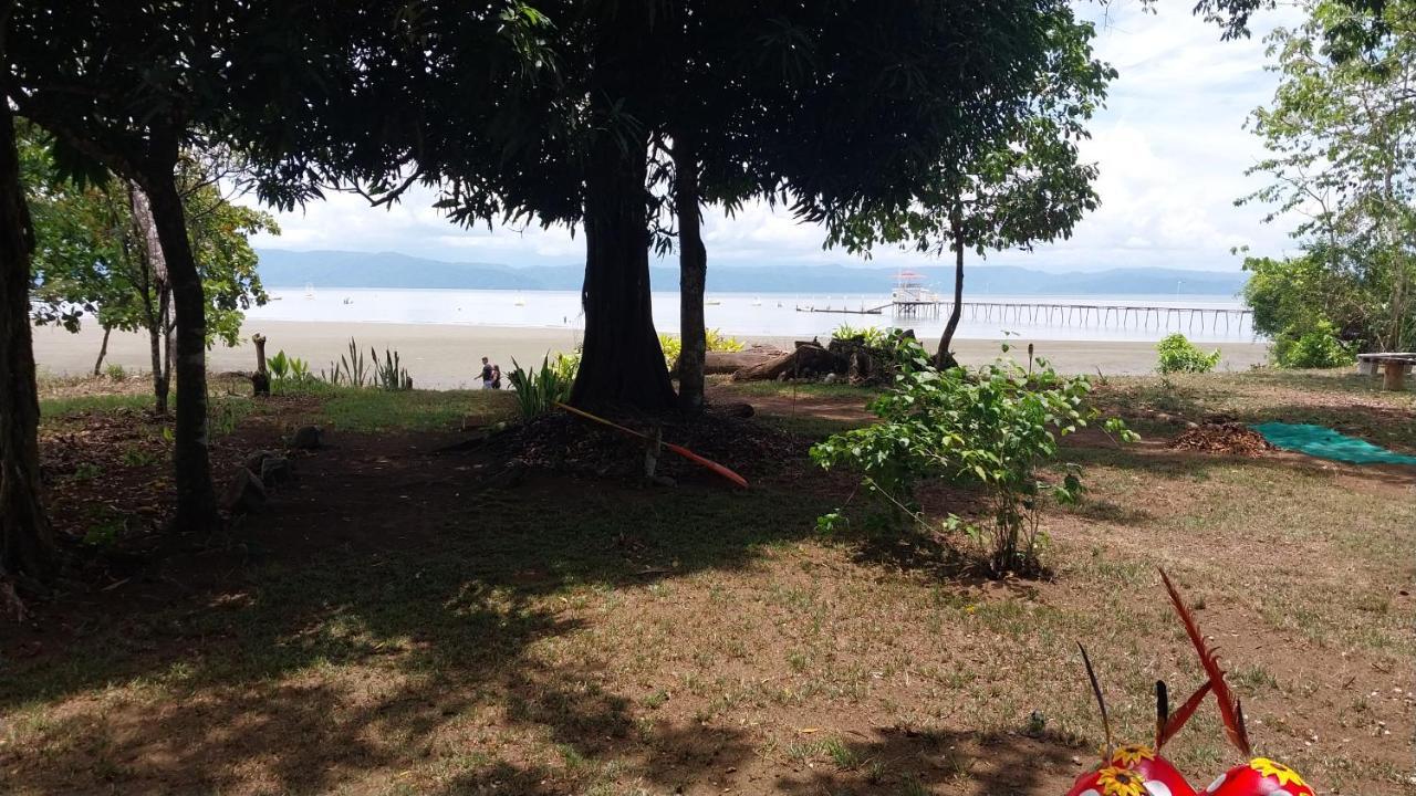 Puerto JiménezHappy Monkeys别墅 外观 照片