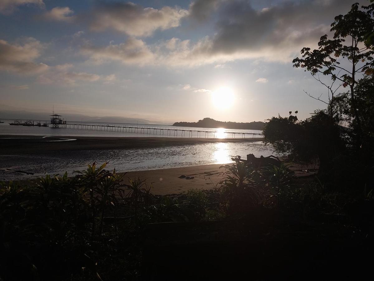 Puerto JiménezHappy Monkeys别墅 外观 照片