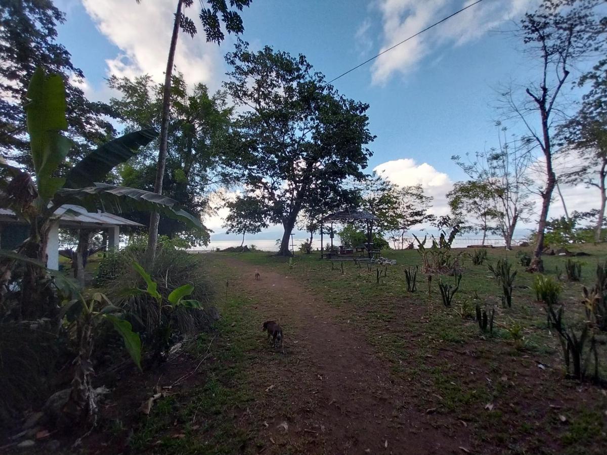 Puerto JiménezHappy Monkeys别墅 外观 照片