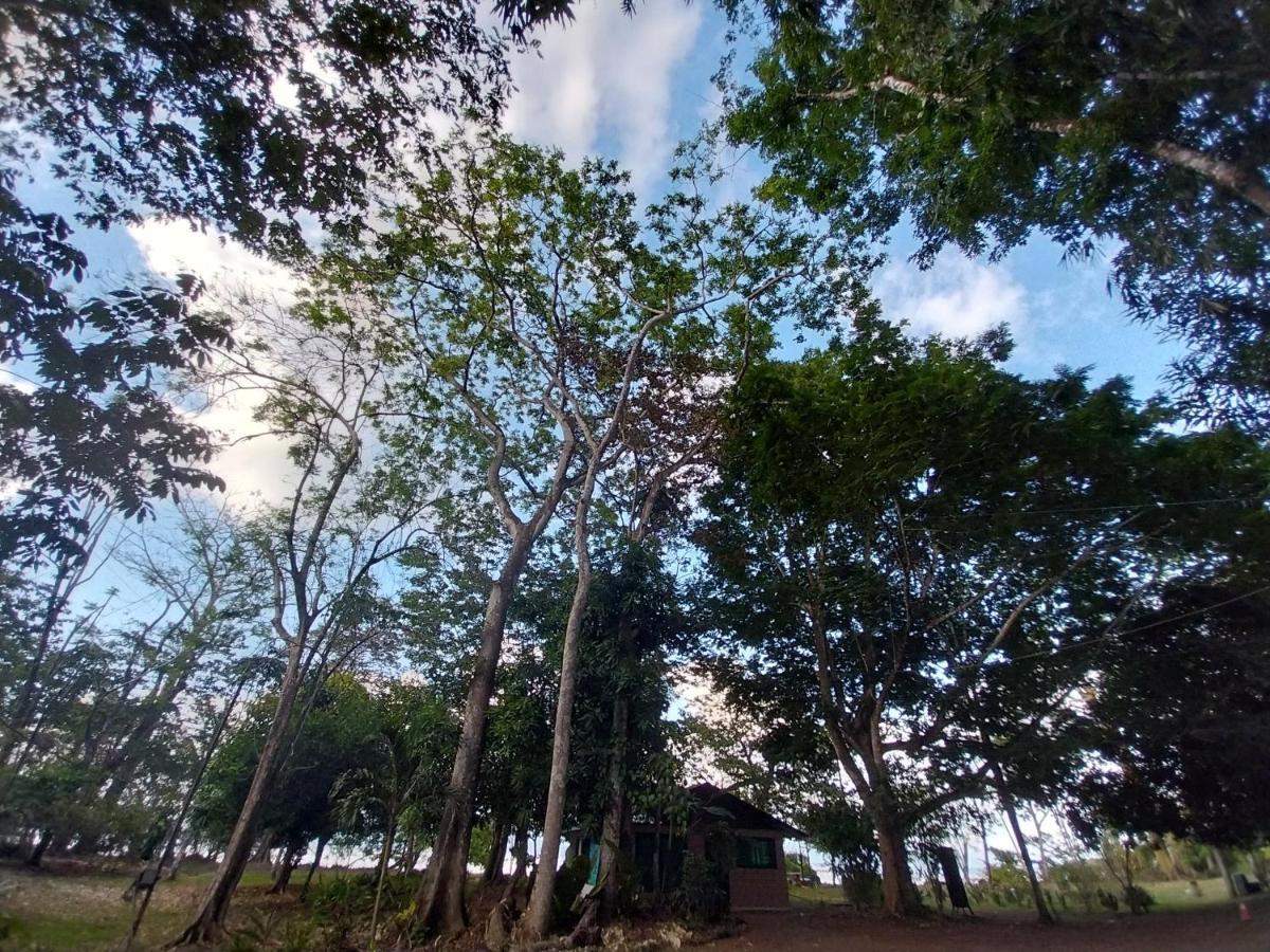 Puerto JiménezHappy Monkeys别墅 外观 照片