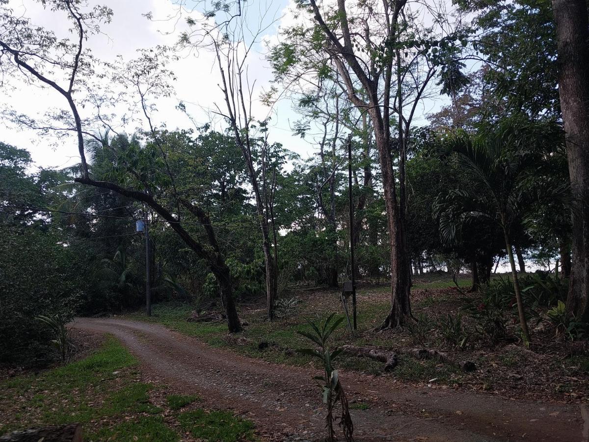 Puerto JiménezHappy Monkeys别墅 外观 照片