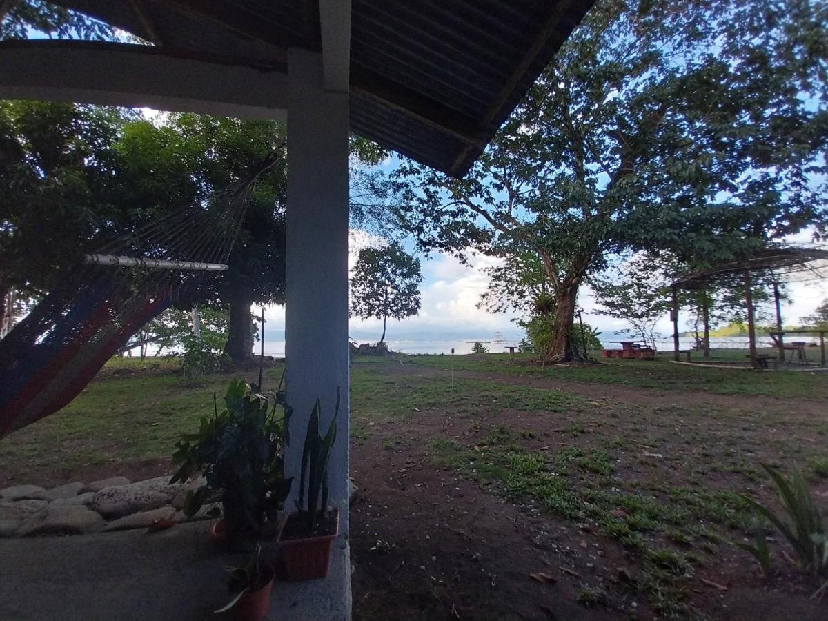 Puerto JiménezHappy Monkeys别墅 外观 照片