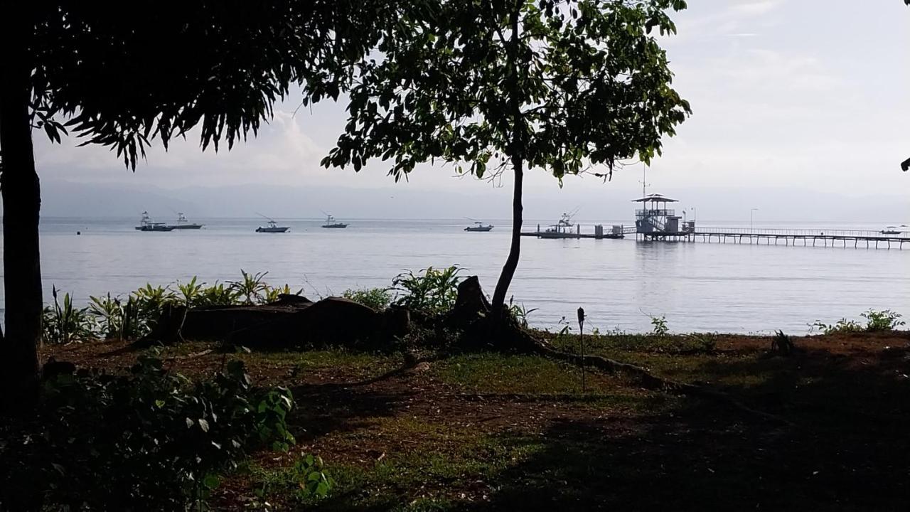 Puerto JiménezHappy Monkeys别墅 外观 照片