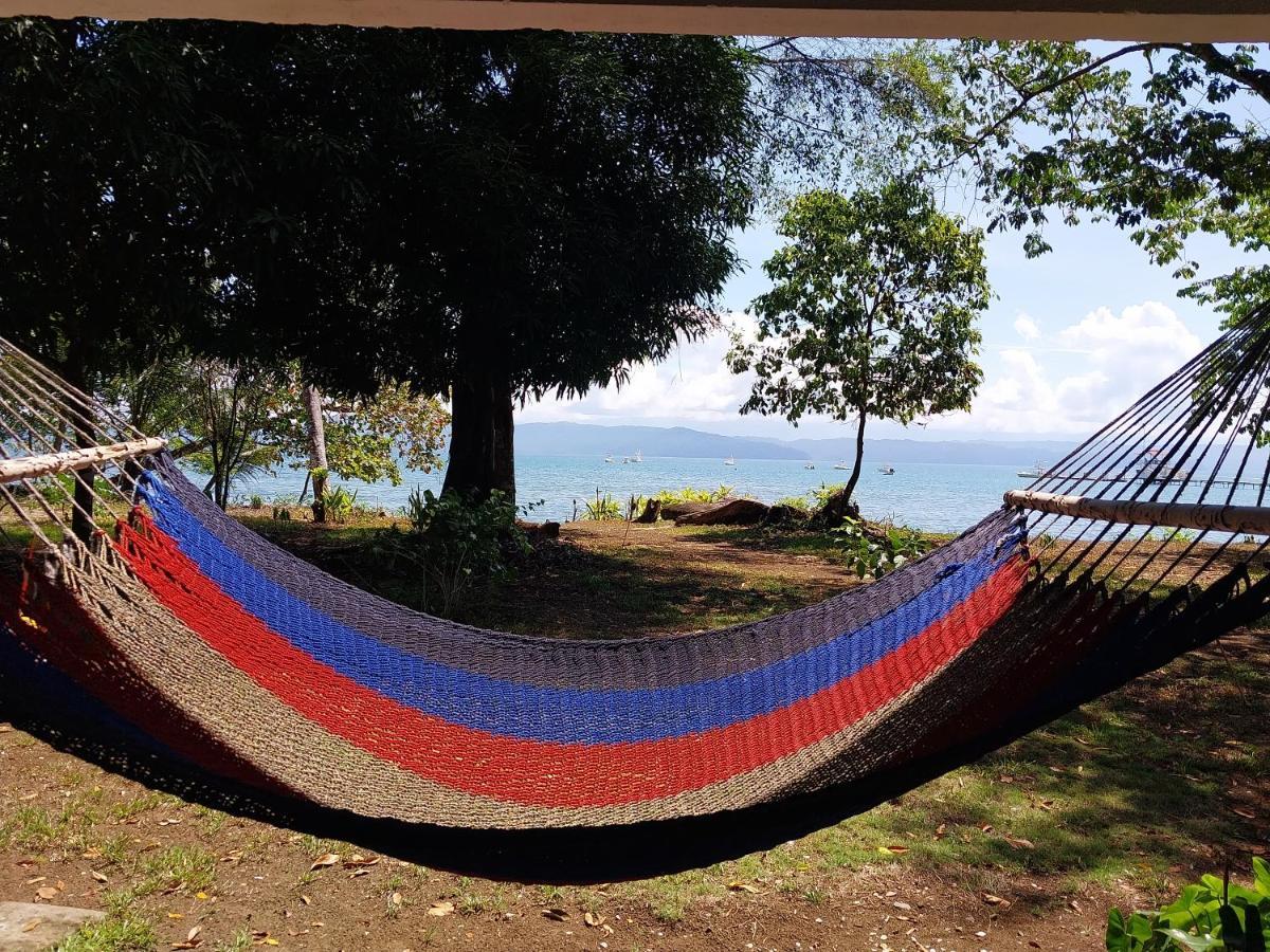 Puerto JiménezHappy Monkeys别墅 外观 照片