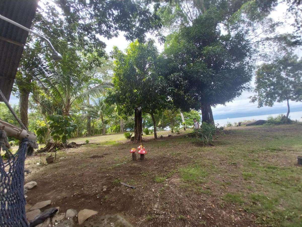 Puerto JiménezHappy Monkeys别墅 外观 照片