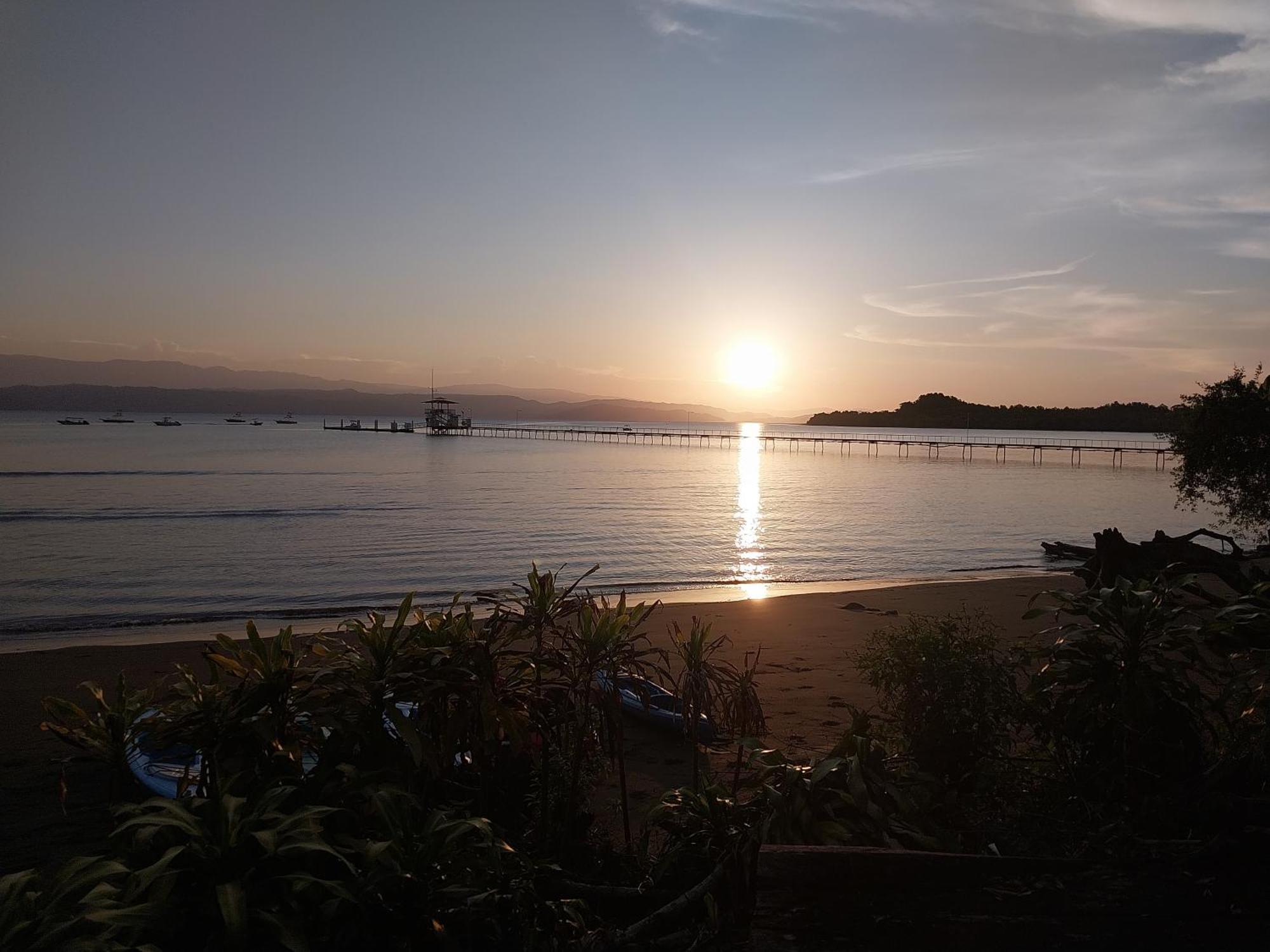 Puerto JiménezHappy Monkeys别墅 外观 照片